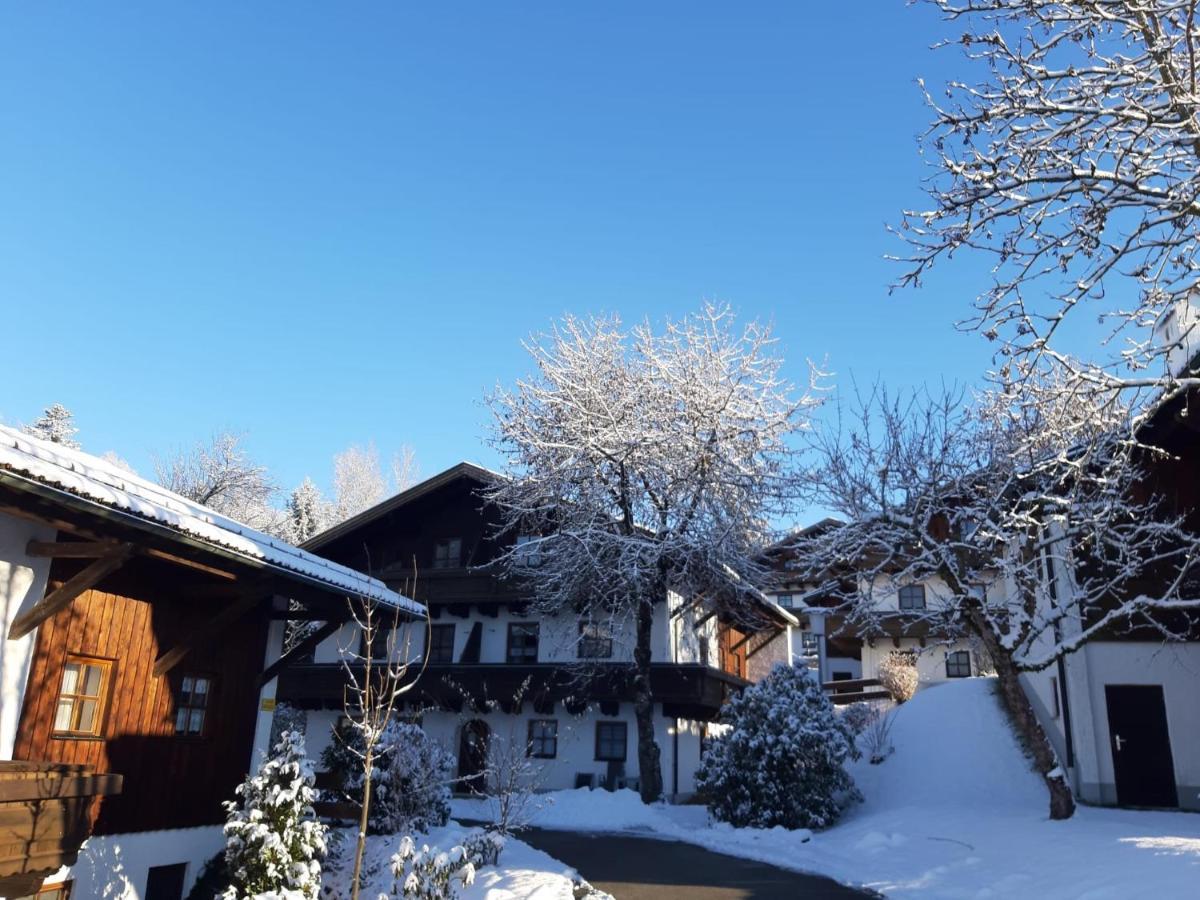 Ferienwohnung Freudensee Im Bayerischen Wald - Pool, Sauna 豪岑堡 外观 照片